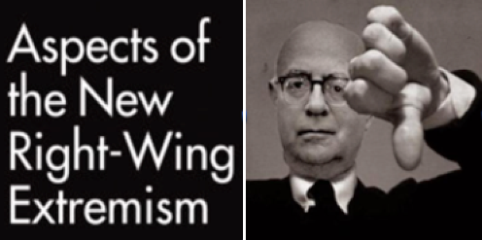 The Bauman Underground: Militant Epistemologies (6) – Theodor Adorno